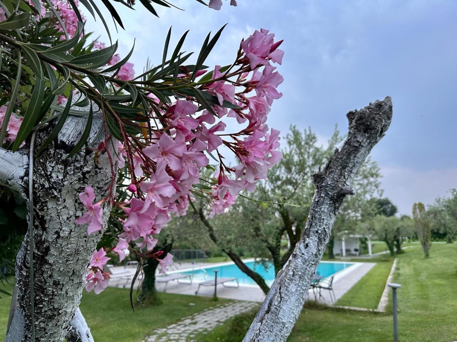 Villa Athena Charme Manerba del Garda Exterior photo